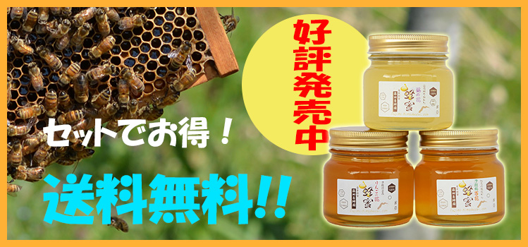 国産蜂蜜【味比べセット商品】